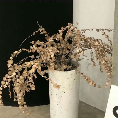 Furry插画构图技巧Furry群